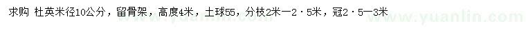 求購米徑10公分杜英