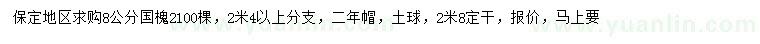 求購8公分國槐