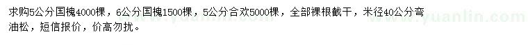 求購國槐、合歡、油松