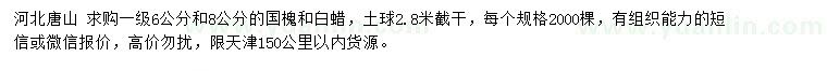 求購6、8公分國槐、白蠟