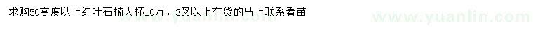 求購高50公分以上紅葉石楠