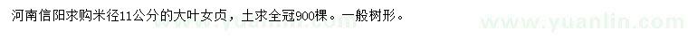 求購米徑11公分大葉女貞