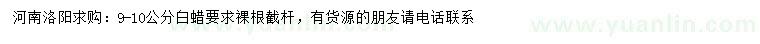 求購9-10公分白蠟