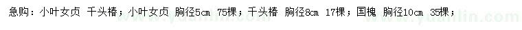 求購小葉女貞、千頭椿、國槐