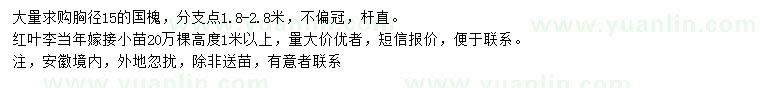 求購胸徑15公分國槐、紅葉李