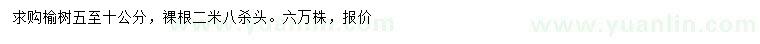 求購5-10公分榆樹