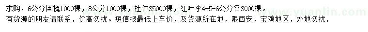 求購國槐、杜仲、紅葉李