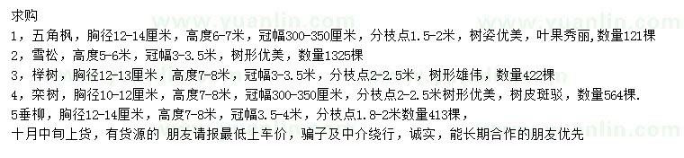 求購五角楓、雪松、櫸樹等