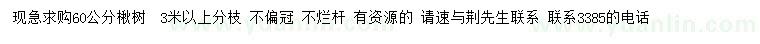 求購(gòu)60公分楸樹