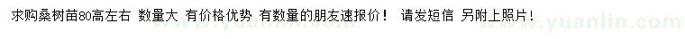 求購高80公分桑樹苗 