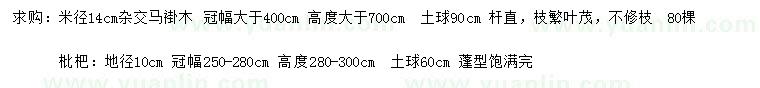 求購米徑14公分馬褂木、地徑10公分枇杷