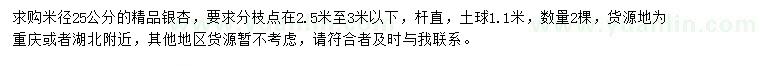 求購米徑25公分精品銀杏