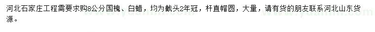 求購8公分國槐、白蠟