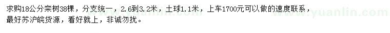 求購18公分欒樹
