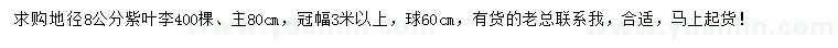 求購地徑8公分紫葉李