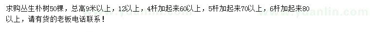 求購高9米以上叢生樸樹
