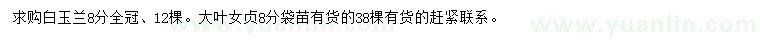 求購8公分白玉蘭、大葉女貞