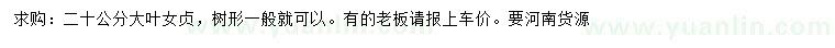 求購20公分大葉女貞