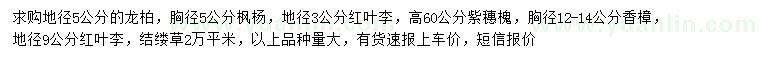 求購龍柏、楓楊、紅葉李等