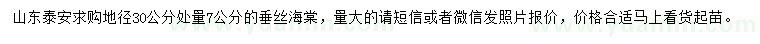 求購(gòu)地徑30公分處量7公分垂絲海棠
