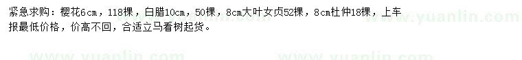 求購櫻花，白蠟，大葉女貞等