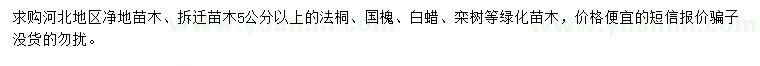 求購5公分以上速生法桐、國槐、白蠟