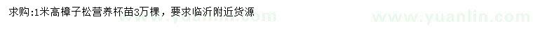 求購高1米樟子松