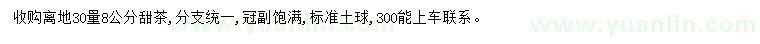 求購30量8公分甜茶