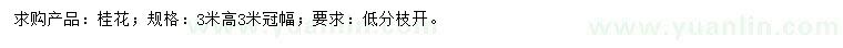 求購高3米桂花