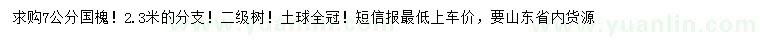 求購7公分國槐