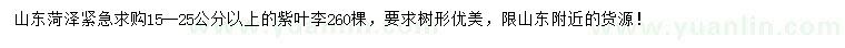 求購15-25公分以上紫葉李