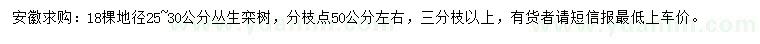 求購地徑25-30公分欒樹