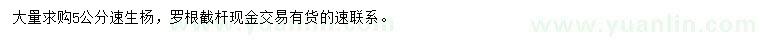 求購(gòu)5公分速生楊