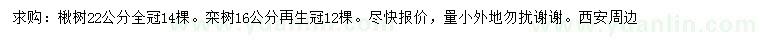 求購(gòu)22公分楸樹(shù)、16公分欒樹(shù)