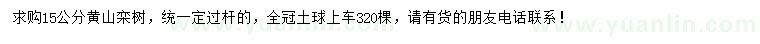 求購15公分黃山欒樹