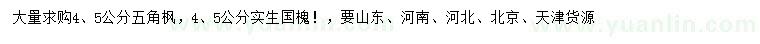 求購(gòu)4、5公分五角楓、實(shí)生國(guó)槐