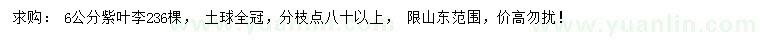 求購(gòu)6公分紫葉李