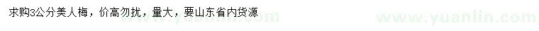 求購(gòu)3公分美人梅