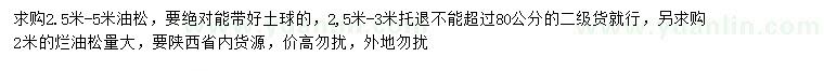 求購(gòu)2.5-5米油松
