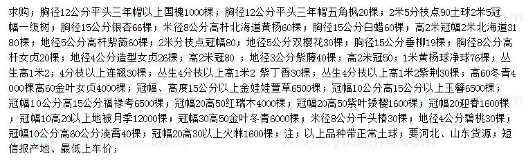 求購國槐、五角楓、銀杏等