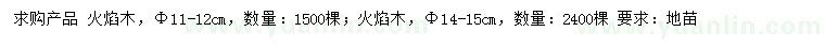求購11-12、14-15公分火焰木