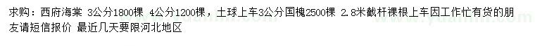 求購3、4公分西府海棠、3公分國槐