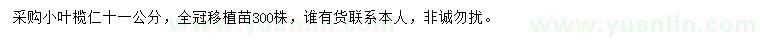 求購11公分小葉欖仁