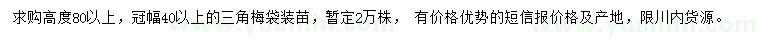 求購(gòu)高80公分以上三角梅