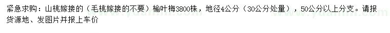 求購地徑4公分榆葉梅