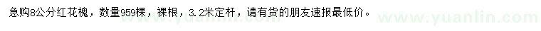 求購8公分紅花槐
