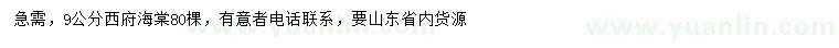 求購9公分西府海棠