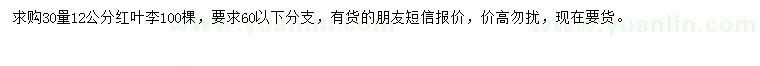 求購(gòu)30量12公分紅葉李