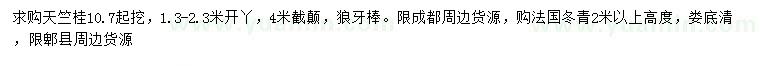 求購天竺桂、高2米以上法國冬青