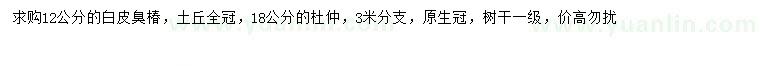求購12公分白皮臭椿、18公分杜仲